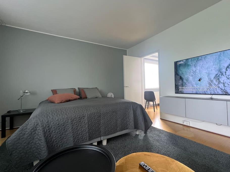 Studiohuoneisto Liisankatu Lappeenranta Bagian luar foto