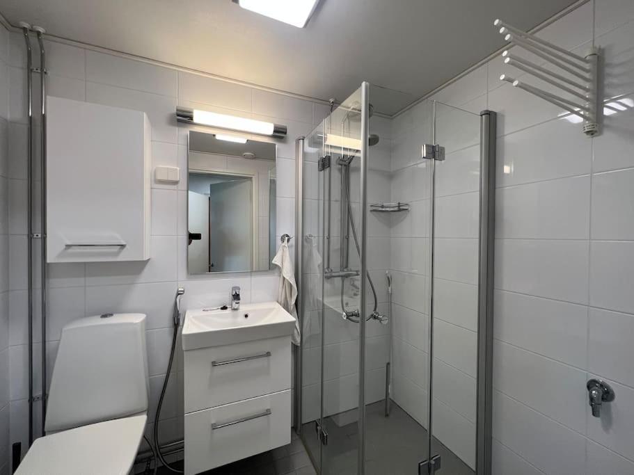 Studiohuoneisto Liisankatu Lappeenranta Bagian luar foto